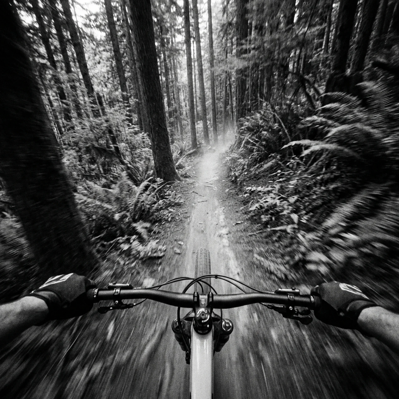 Mountain biker riding through a misty forest trail