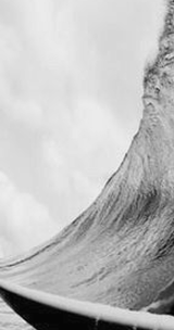 Limitless creatine gummies